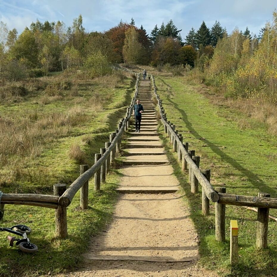 Kwintelooijen trappen